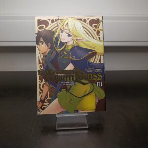 Les Chroniques de la Guerre de Lodoss Tome 1