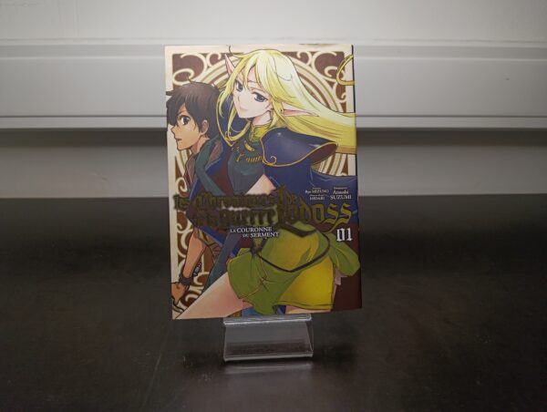 Les Chroniques de la Guerre de Lodoss Tome 1