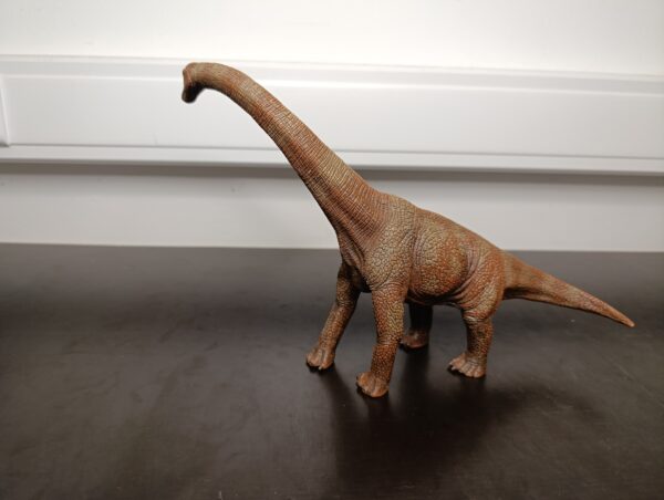 Brachiosaure – Image 2
