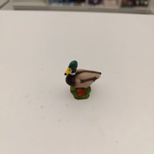 Canard