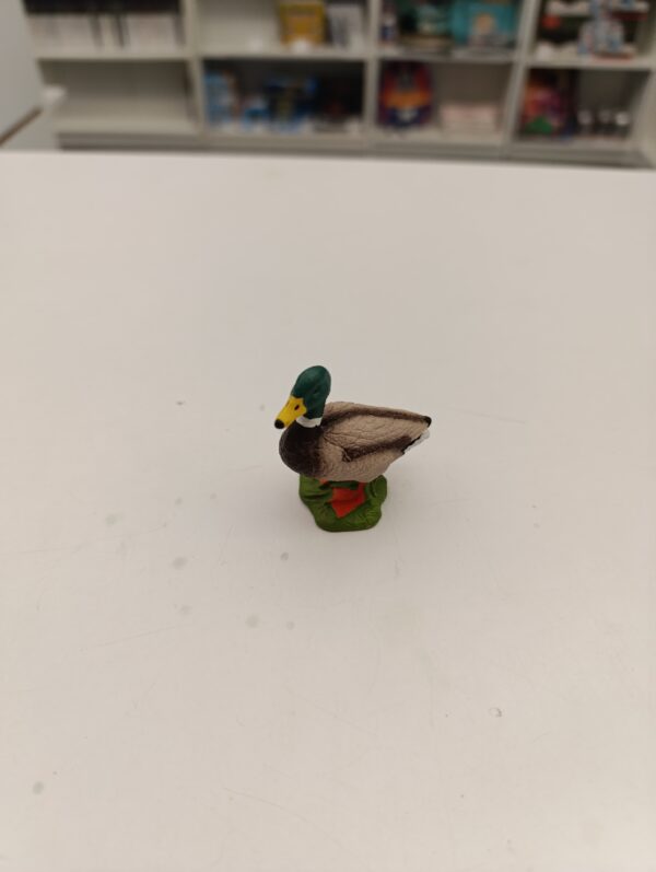 Canard