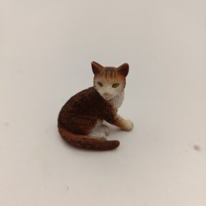 chat