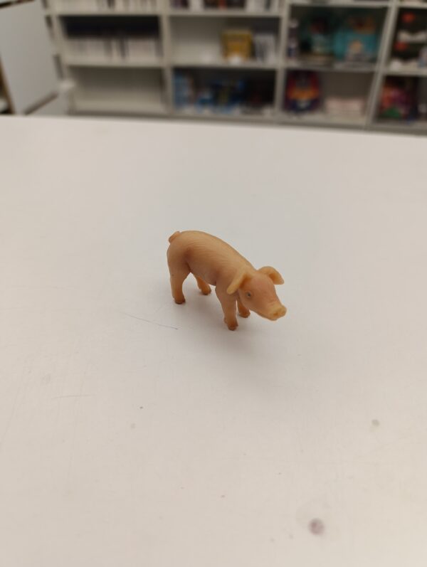 Cochon