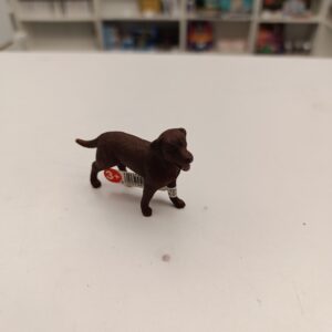 chien