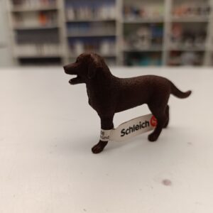 Chien