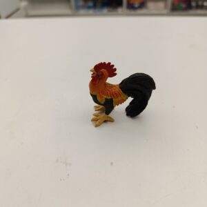Coq